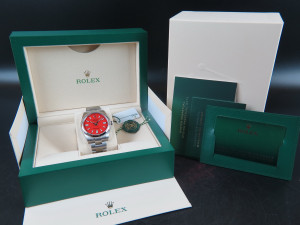 Rolex Oyster Perpetual 41 Coral Dial 124300 NEW 