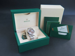 Rolex Oyster Perpetual Steel Dial NEW  116000
