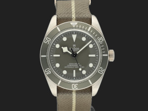 Tudor Black Bay 58 79010SG 925 Silver