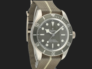 Tudor Black Bay 58 79010SG 925 Silver