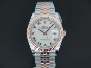 Rolex Datejust NEW 126231 Everose/Steel White Dial 