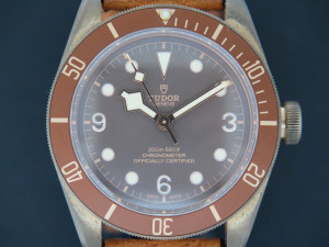 Tudor Heritage Black Bay BRONZE 79250BM