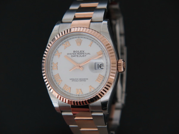 Rolex - Datejust  Everose/Steel White Roman Dial NEW 126231