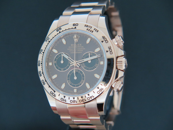 Rolex - Daytona Everose Chocolate Dial 116505  NEW