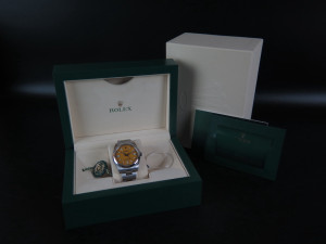 Rolex Oyster Perpetual 41 Yellow Dial 124300 NEW