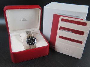 Omega Seamaster Professional 300M 21230412001002