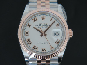 Rolex Datejust NEW 126231 Everose/Steel White Dial 