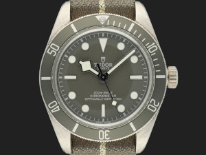 Tudor Black Bay 58 79010SG 925 Silver