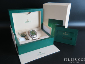 Rolex Oyster Perpetual 41 Green Dial 124300 NEW MODEL