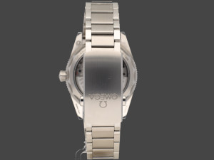 Omega Seamaster 300 Co-Axial Master Chronometer 41MM 234.30.41.21.03.001