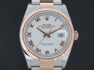 Rolex Datejust  Everose/Steel White Roman Dial NEW 126231
