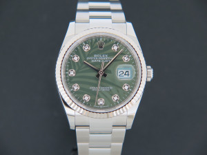 Rolex Datejust 36 Palm Motif Diamond Green Dial 126234 99% NEW